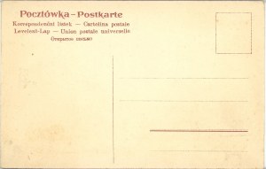 Lithographie, Neues Jubiläumsspital Kaiser Franz Joseph Bonifrats, vom Garten aus, 1908