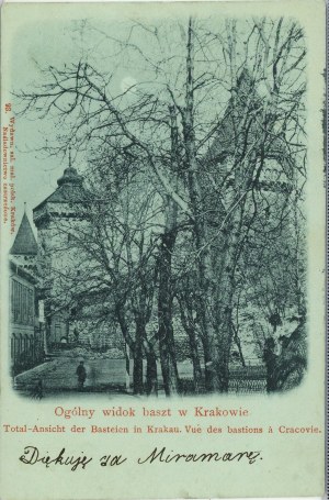 General view of the towers in Krakow, 1899