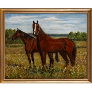 Malíř blíže neurčený (20. století), Koně