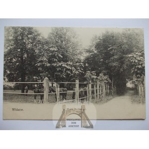 Widzów k. Częstochowa, stadnina koni, ok. 1910