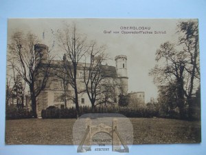 Glogowek, Oberglogau, castle, 1914