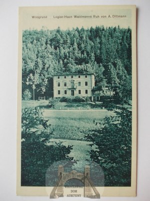 Pokrzywna, Wildgrund, Ferienhaus Waidmanns Ruh, ca. 1924