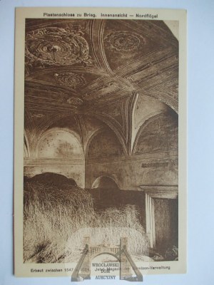 Brzeg, Brieg, zamek, magazyn, ok. 1914
