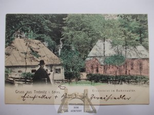 Trzebnica, Trebnitz, Beech forest, 1909