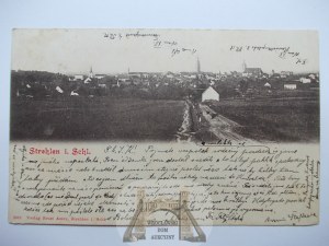 Strzelin, Strehlen, panorama, 1902
