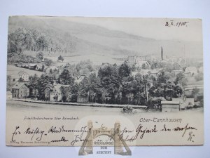 Jedlina Zdrój, Jedlinka, zimní panorama, 1900