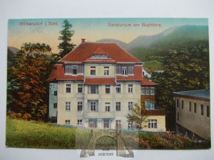 Sokolovsko, Gorbersdorf, sanatorium Buchberg, 1928