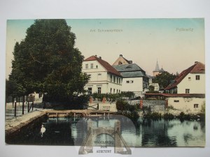Polkowice, Polkwitz, pond, city buildings, 1911