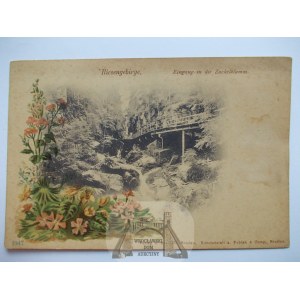 Giant Mountains, Riesengebirge, Kamienczyk waterfall, flower circa 1900.
