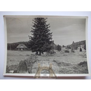 Piechowice, panorama, prywatna kartka, 1933
