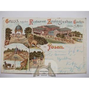 Poznań, Ogród Zoologiczny, litografia 1898