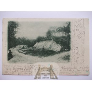 Puszczykowo, Unterberg, wydma 1902