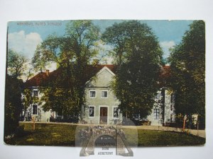 Wąsowo u Nového Tomyšle, palác cca 1915