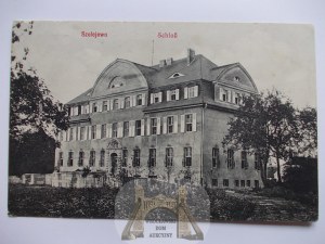 Szalejewo near Gostyn, palace ca. 1910