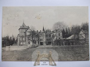 Gołuchów near Pleszew, palace ca. 1925