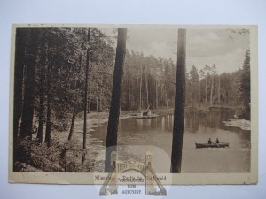 Olsztyn, Allenstein, City Forest, 1922