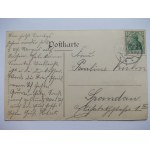 Ruciane Nida, královské duby, 1907