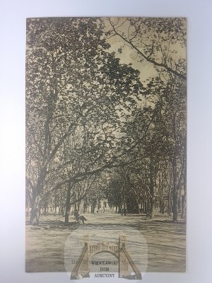 Suwałki, park ca. 1915