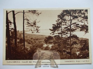 Tarnobrzeg, pohľad ponad Vislu okolo roku 1940.