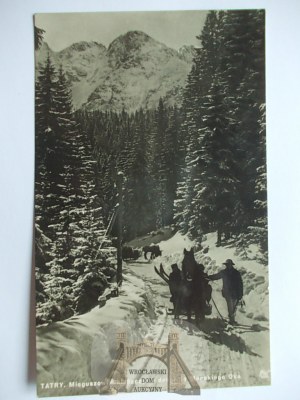 Tatra Mountains, road to Morskie Oko, mountaineers, sleigh ride ca. 1935