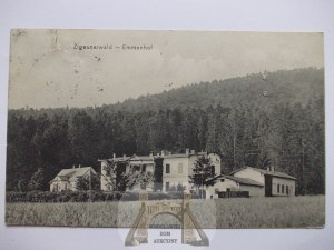 Bielsko Biala, Gypsy Forest, Emmenhof, ca. 1910