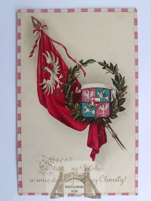 Patriotisch, Wappen, Flagge, Weißer Adler, Pogo ca. 1910