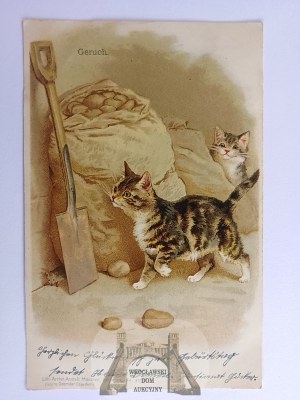 Mačka v pivnici, litografia 1901