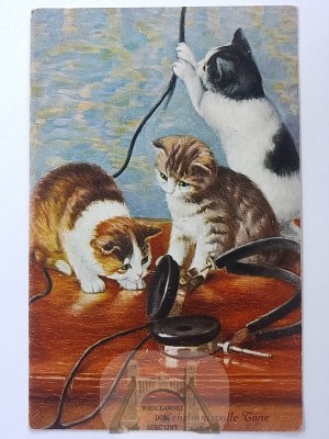 Cats, headphones ca. 1910