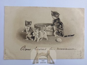 Mačky, balia, reliéfna litografia 1905