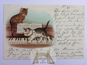 Mačky, klavír, litografia okolo roku 1900