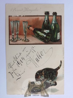 Katze, Champagner, Lithographie 1904