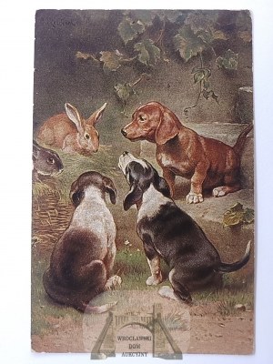 Dog, dogs and rabbits ca. 1915