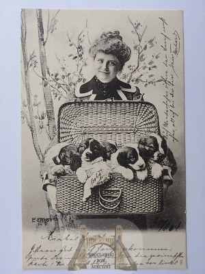 Dogs in a Basket, 1904