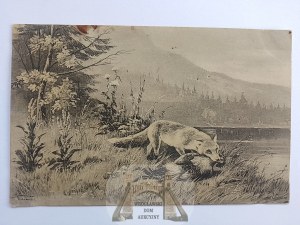 Poľovníctvo, lov, líška okolo roku 1910