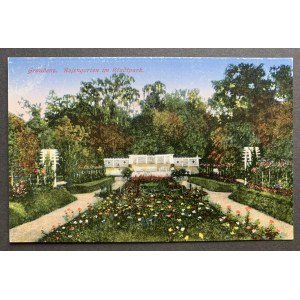 [GRUDZIĄDZ] Graudenz. Rosengarten im Stadtpark [przed 1915]