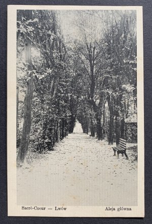 Lviv. Sacrè Coeur. Viale principale.