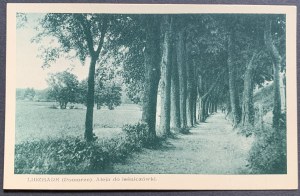 LIDZBARK (Pomoransko). Aleja k lesníckej chate [1935].