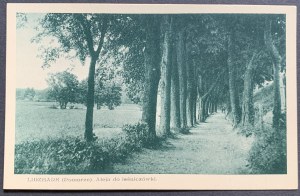 LIDZBARK (Poméranie). Avenue du pavillon forestier [1935].