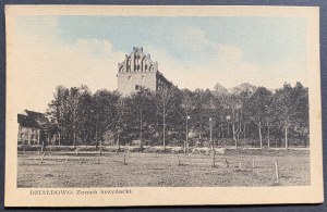 DZIAŁDOWO. Castello teutonico [1935].