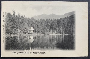 Stagno Smreczyński in Kościeliska. Zakopane [1903].