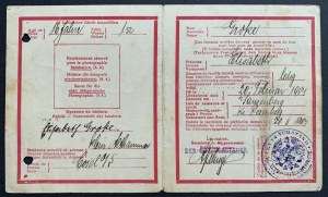 [Plebiscite in Upper Silesia] Legistimation Card No. 19343; Rosenberg [Olesno 1920].