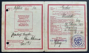 [Plebiscit v Hornom Sliezsku] Legistimačná karta č. 19343; Rosenberg [Olesno 1920].
