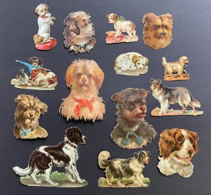 [Dogs] Backstage picture set. 14 pieces. Germany [19th c.].