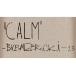 Brocki (nar. 1988, Jelenia Góra), Calm, 2023
