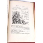 COOPER - DIE LETZTE MOHICANIN/ LE DERNIER DES MOHICANS Kupferstiche von Andriolli