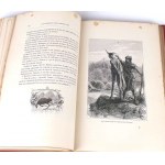 COOPER - THE LAST MOHICANIN/ LE DERNIER DES MOHICANS engravings by Andriolli