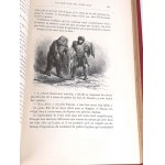 COOPER - THE LAST MOHICANIN/ LE DERNIER DES MOHICANS engravings by Andriolli