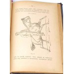 STIPAL- SCIENCE OF HORSE RIDING AND HORSE TRESSION publ. 1896