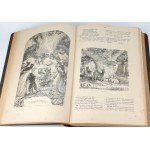 SHAKESPEARE- DRAMATICKÉ DIELO SHAKESPEARA zv.I-III vydanie 1875-7 drevoryty