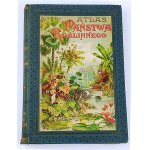 WILKOMM - ATLAS DE L'ÉTAT DES PLANTES planches en couleurs, gravures sur bois